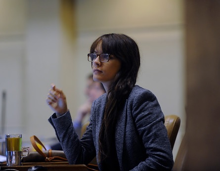 Intervención de Camila Vallejo sobre Cardones Polpaico