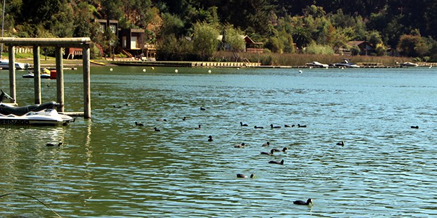 Impresionantes imágenes revelan la alta contaminación en el lago Vichuquén