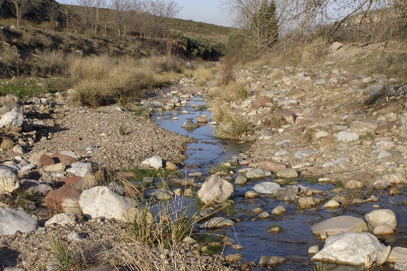 Ríos de La Araucanía han bajado en 40% sus caudales