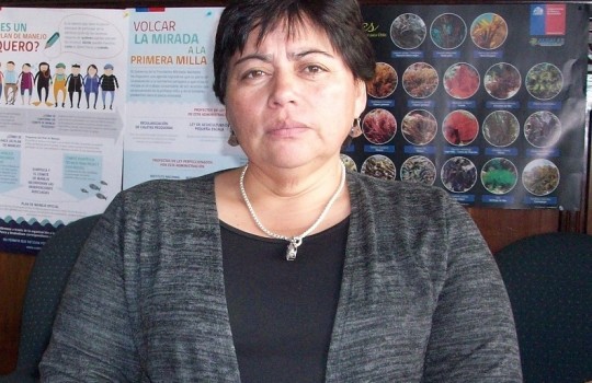 Zoila Bustamante: “Cuenta pública del Gobierno solo demuestra que no hay preocupación real por la pesca”