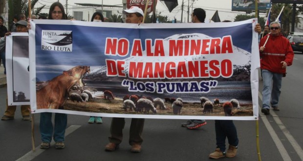 Comité de Ministros por la Sustentabilidad decidirá el futuro de Los Pumas