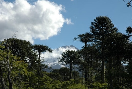 Ingreso a parques nacionales será gratuito el Día del Patrimonio Cultural