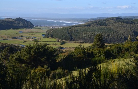 El cambio de uso de suelo afecta a los ecosistemas acuáticos del sur de Chile
