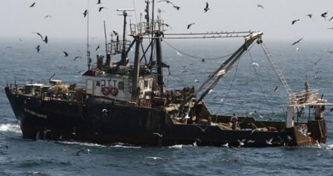 Harina de pescado: siete mil toneladas incautadas