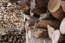 La guerra de la madera que amenaza a Ñuble