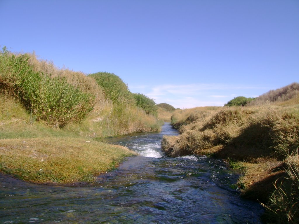 Buscan convertir río Loa en santuario de la naturaleza