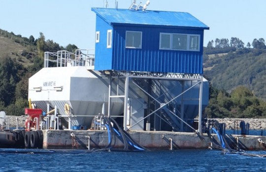 Formulan cargos contra Marine Harvest por falencias ambientales