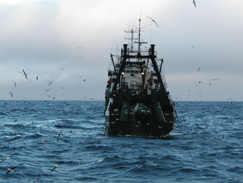 Alertan presencia de una veintena de barcos chinos pescando en ZEE de Chile