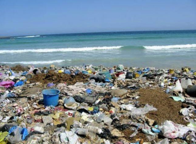 Basura afecta la biodiversidad de islas Salas y Gómez y Rapa Nui