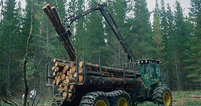 DL 701: En 40 años 70% de aportes fueron a grandes forestales