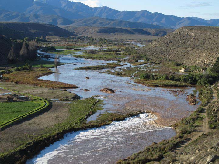 Urgente llamado a cuidar flora y fauna de los humedales