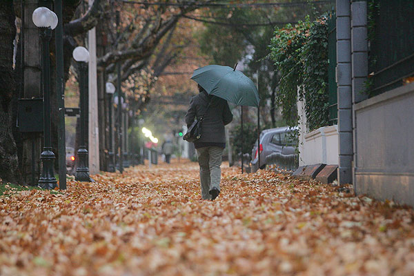 Balance de lluvias: hidroeléctricas operan casi a plenitud, y agricultura se acerca a un año normal