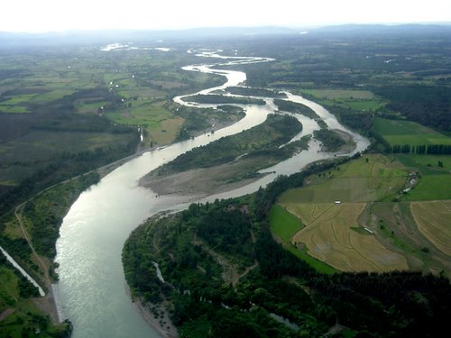 Aguas del río Biobío serán monitoreadas para analizar su calidad
