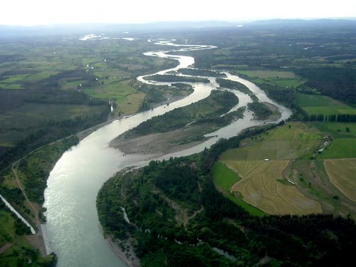 Crean plan para aumentar mecanismos de protección de la biodiversidad en el Biobío