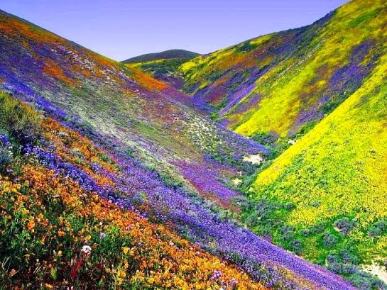 Realizan en Atacama segunda reunión de consulta indígena por Servicio de Biodiversidad y Áreas Protegidas