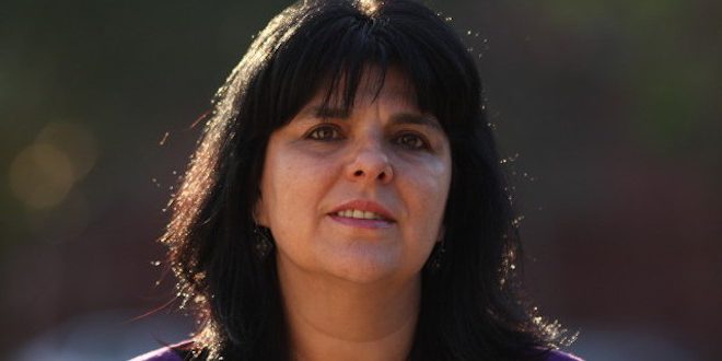 La ausencia de una Ley de protección de la naturaleza y la biodiversidad en Chile