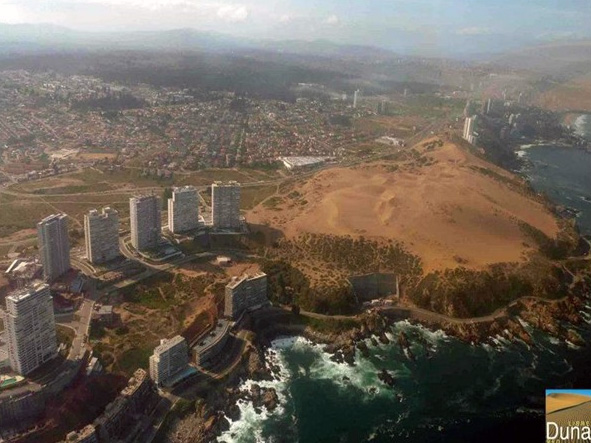 Controversia entre SMA y Duna Viva por arista de reforestación en dunas