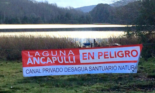 Corte obliga a empresa a dejar de intervenir la laguna Ancapulli de Pucón