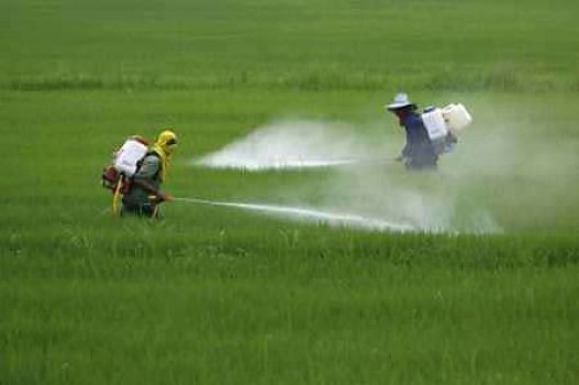Investigación afirma que acuerdo Unión Europea – Mercosur aumentará uso de pesticidas en Sudamérica