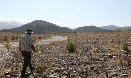 El 76% de la superficie del país está afectado por sequía, desertificación y suelo degradado