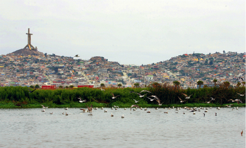 Posible contaminación del humedal El Culebrón alerta a los ciudadanos de Coquimbo