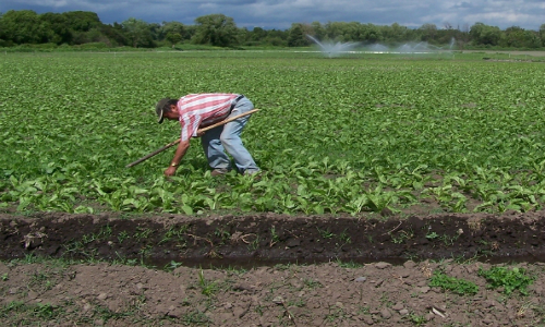 El nuevo escenario del proyecto que reforma al código de aguas