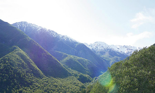 Menos del 1% de ecosistemas en peligro de Chile central está protegido