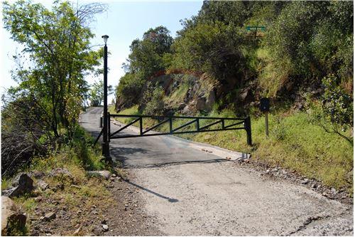 Suprema emite fallo por daño ambiental en quebrada de Huallalolén de El Arrayán