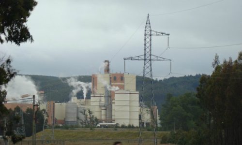 Angelini y Hartwig arremeten en justicia ambiental contra el Estado por decreto en Río Valdivia