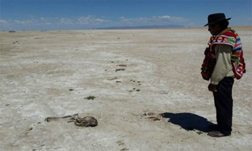 Desastre ecológico: El segundo lago más grande de Bolivia está casi seco
