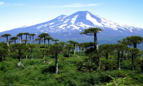 Chile celebra el Día Internacional de los Parques Nacionales