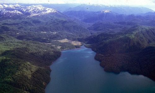 Tribunal Ambiental inspeccionó zona de posible emplazamiento de proyecto central hidroeléctrica Cuervo