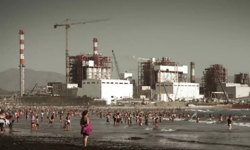 Seremi de Medio Ambiente estudia mortandad de especies que vararon en playa de Las Ventanas