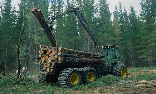 Estudio relaciona impacto de la actividad forestal con escasez hídrica y protesta social mapuche