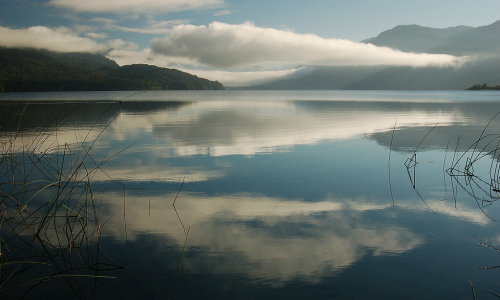 La victoria mapuche y ambientalista contra ENDESA en el lago Neltume