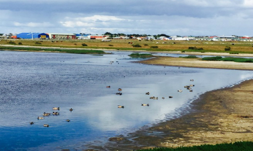Invertirán US$4 millones para recuperar Humedal Tres Puentes de Punta Arenas