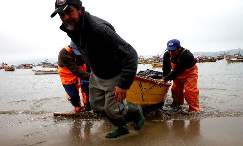 Sector pesquero de Chile sería uno de los más afectados con el cambio climático