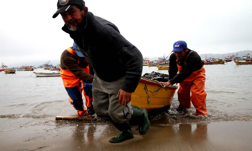 Pescadores del Bío Bío demandan al Estado por Ley de Pesca: piden $50 mil millones