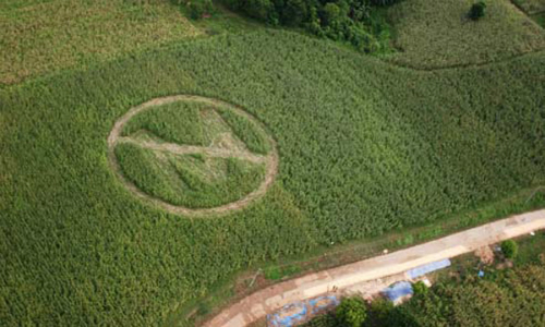 En Paine Monsanto ataca de nuevo