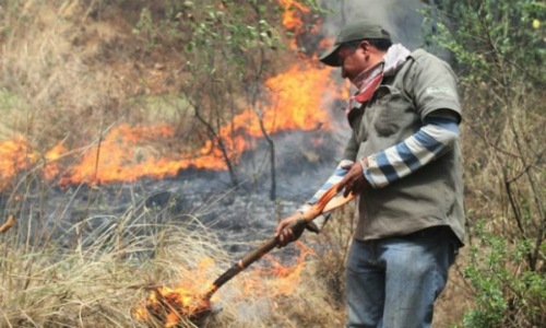 Plan de descontaminación en Los Ángeles: anteproyecto propone modificar quemas agrícolas