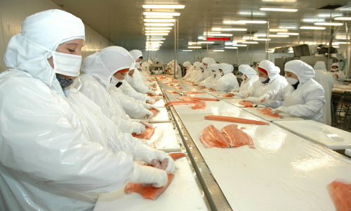 Cesantes del salmón se instalan con carpas en el frontis de la Intendencia