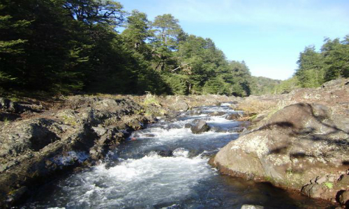 Suprema ratifica anulación de calificación ambiental para hidroeléctrica en Río Cautín