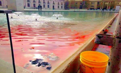 Jardines del Gobierno en Santiago se tiñen de la contaminación salmonera