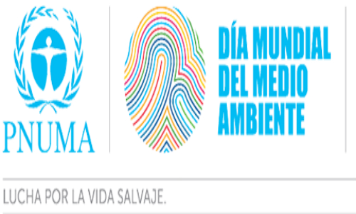 Solo dos eventos contabilizados por la ONU en Chile
