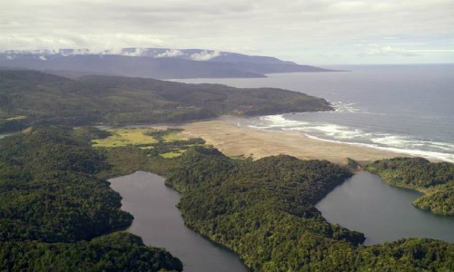 Empresa de cosméticos compró bonos de carbono de la Reserva Costera de Valdivia