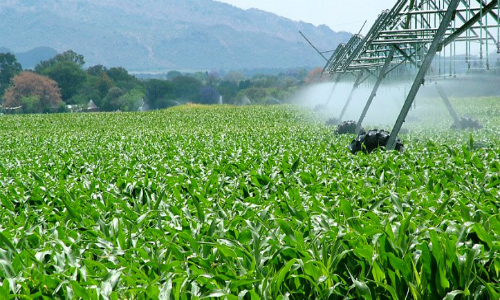 “Las condiciones con las que se creó la agricultura convencional cambiaron… antes no se pensaba en el cambio climático”