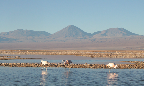 Autoridades público-privadas apuntan la inversión canadiense en la Región de Atacama