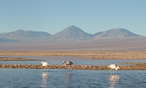 Investigadores advierten compleja situación de acuíferos en la zona del Salar de Atacama