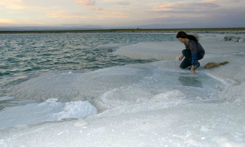 Comisión investigadora observó deterioro y fragilidad de los ecosistemas del Salar de Atacama