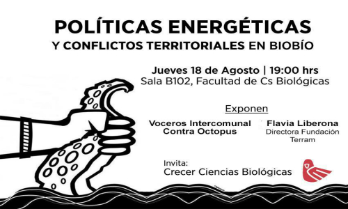 Foro Política Energética y Conflictos Territoriales en Biobío
